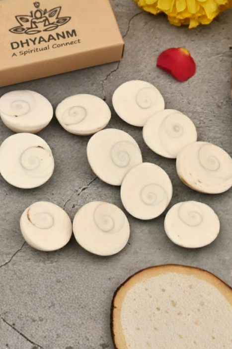 Gomti Chakra – Spiritual Chakra Beads