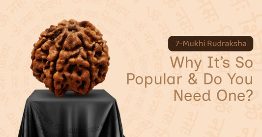 Benefits of 7 Mukhi Rudraksha 