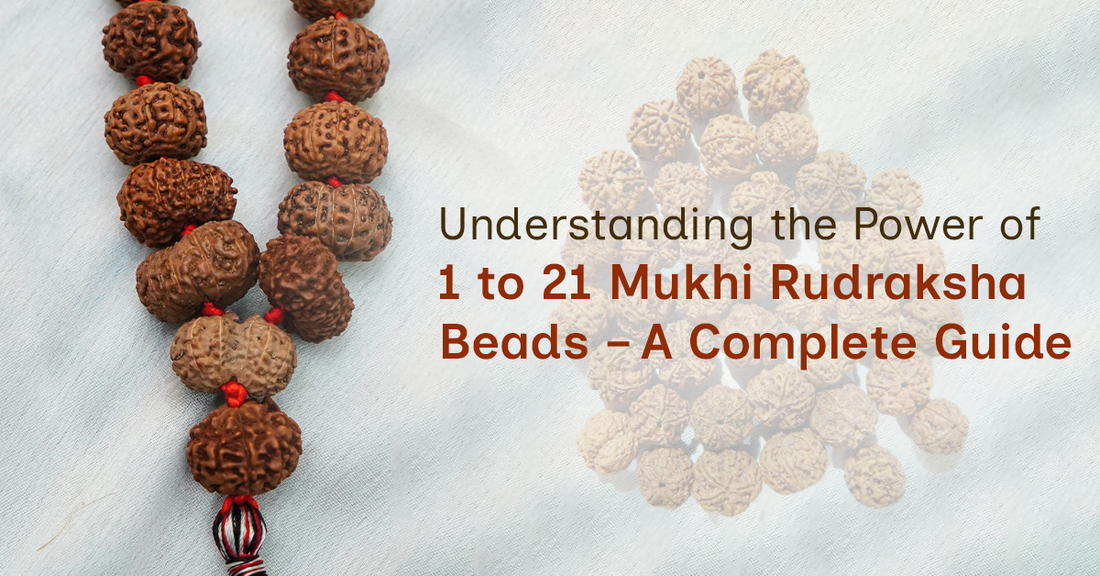 Power of 1 to 21 Mukhi Rudraksha Beads