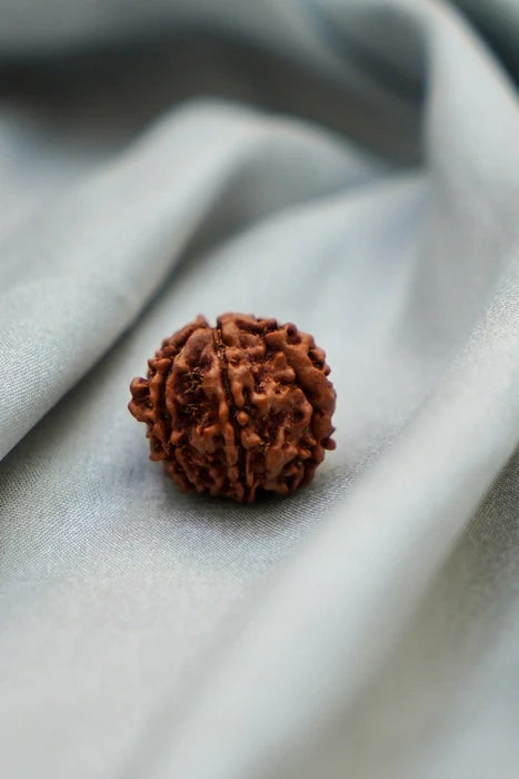 Rudraksha Beads