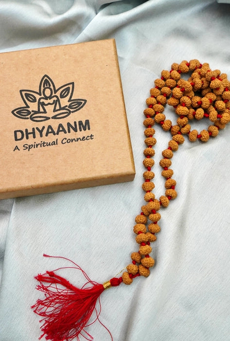 10 Mukhi Rudraksha Mala