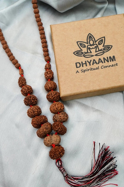 Sidha Mala 1-14 Mukhi Rudraksha