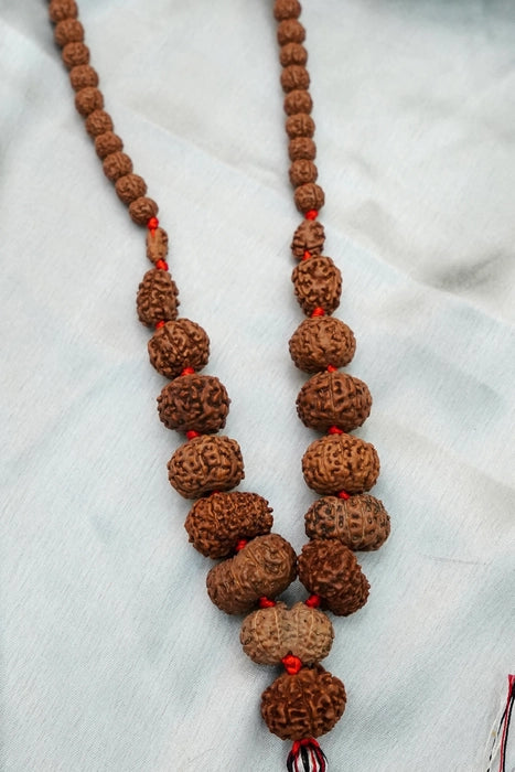 Sidha Mala 1-14 Mukhi Rudraksha