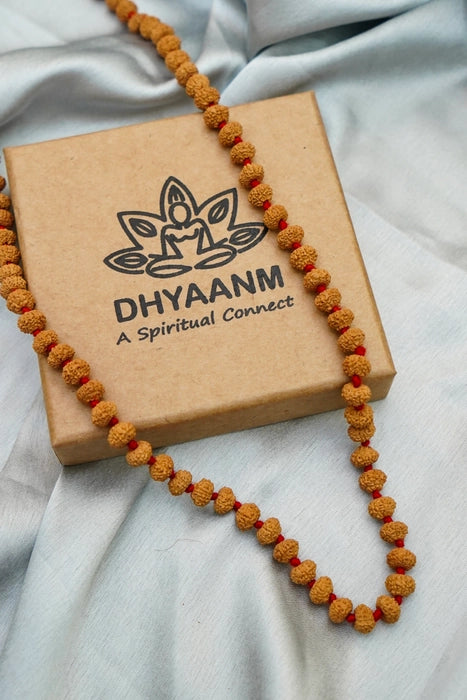 Original 10 mukhi rudraksha mala