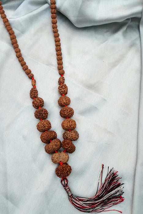Sidha Mala 1-14 Mukhi Rudraksha