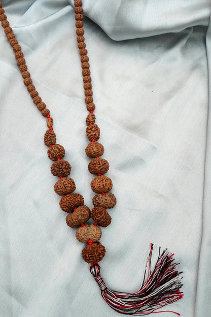 Sidha Mala 1-14 Mukhi Rudraksha