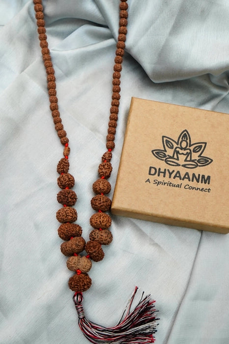 Sidha Mala 1-14 Mukhi Rudraksha