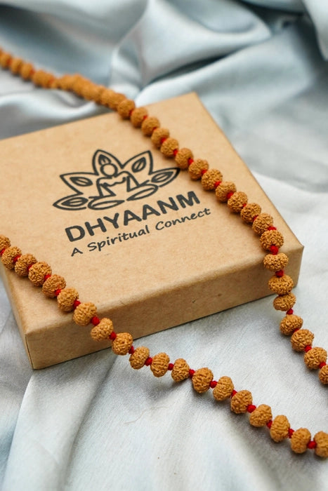 Authentic 10 mukhi rudraksha mala