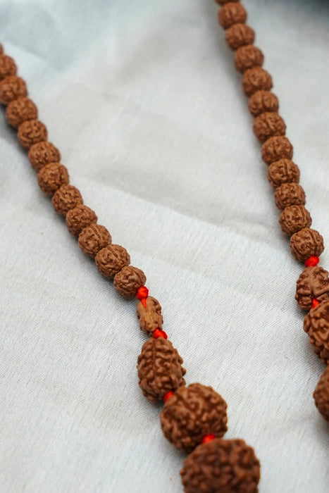 Sidha Mala 1-14 Mukhi Rudraksha