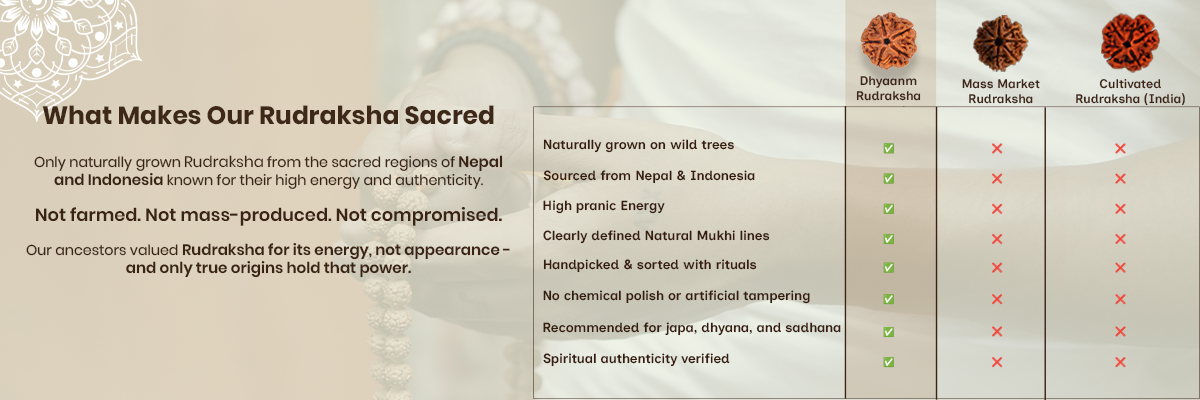 What makes rudraksha sacred