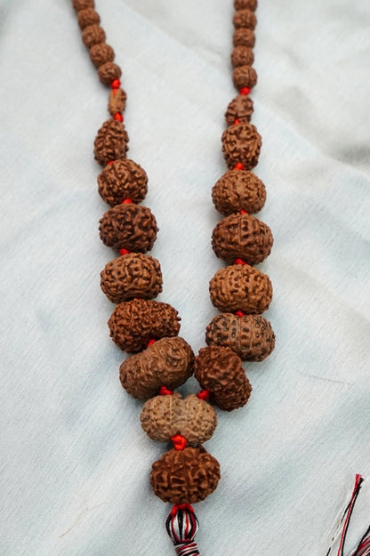 Sidha Mala 1-14 Mukhi Rudraksha