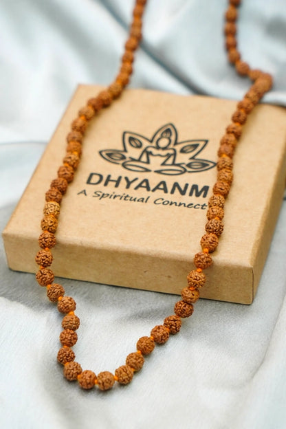 5 Mukhi Rudraksha Mala