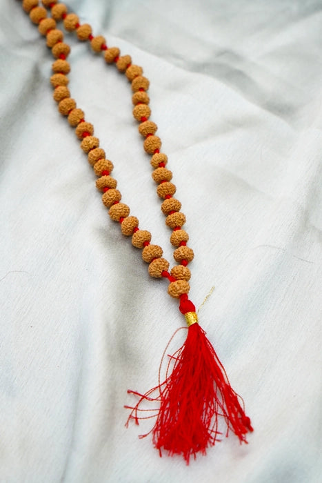 10 mukhi rudraksha mala