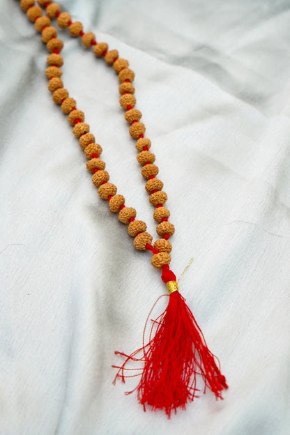 10 mukhi rudraksha mala