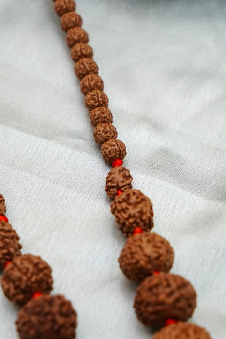 Sidha Mala 1-14 Mukhi Rudraksha
